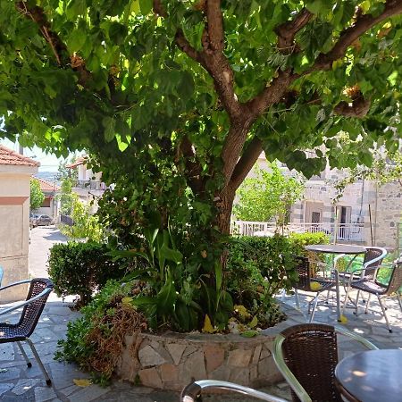 Vagia'S Home كيمي المظهر الخارجي الصورة