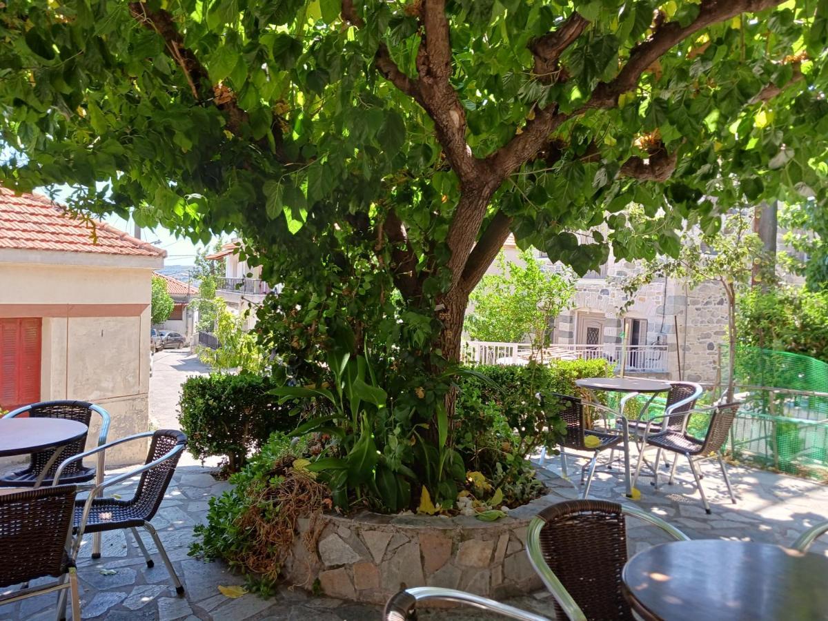 Vagia'S Home كيمي المظهر الخارجي الصورة